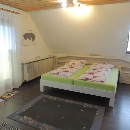 Appartement Haus Ingeborg à Dachsberg im Schwarzwald Extérieur photo