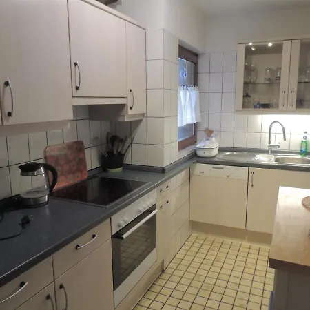 Appartement Haus Ingeborg à Dachsberg im Schwarzwald Extérieur photo