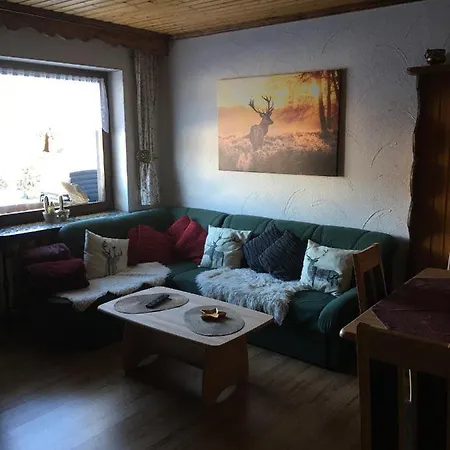 Appartement Haus Ingeborg à Dachsberg im Schwarzwald Extérieur photo