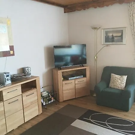 Appartement Haus Ingeborg à Dachsberg im Schwarzwald Extérieur photo