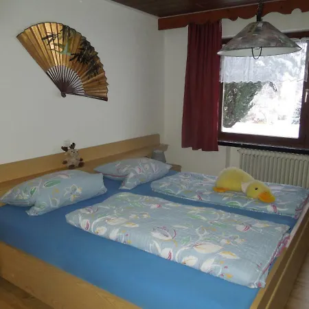 Appartement Haus Ingeborg à Dachsberg im Schwarzwald Extérieur photo