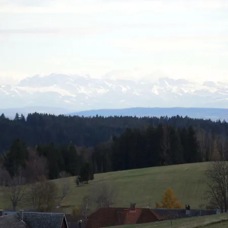 Appartement Haus Ingeborg à Dachsberg im Schwarzwald Extérieur photo