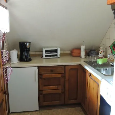 Appartement Haus Ingeborg à Dachsberg im Schwarzwald Extérieur photo