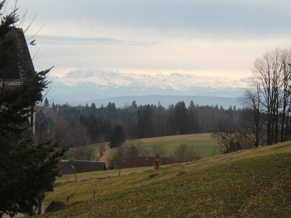 Haus Ingeborg * Dachsberg im Schwarzwald