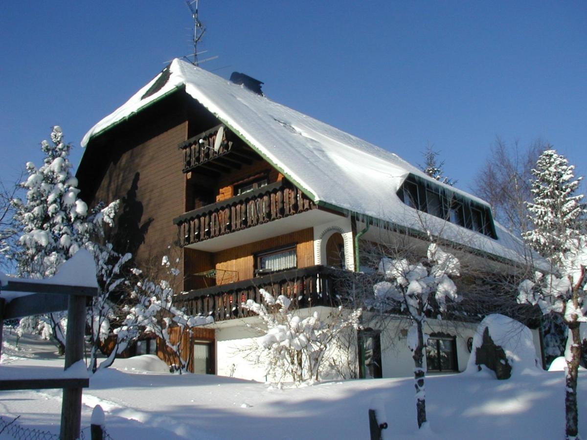 Haus Ingeborg Appartement Dachsberg im Schwarzwald