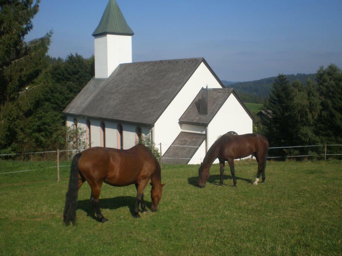 Appartement Haus Ingeborg Dachsberg im Schwarzwald